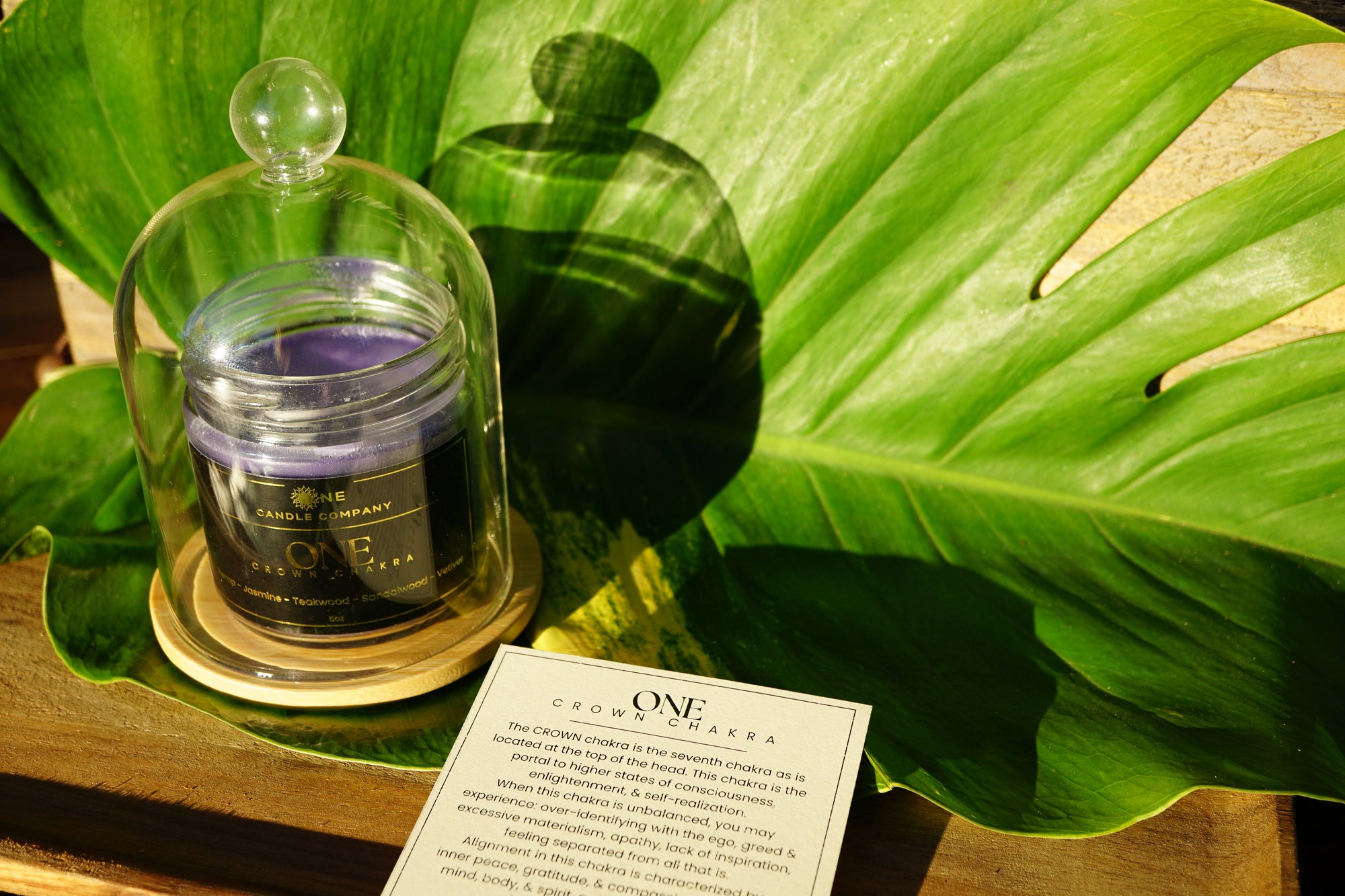 Beauty & Wellness