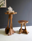 Set of 2 Organic Teakwood Accent Tables