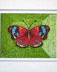 PEACOCK BUTTERFLY | Fine Artwork