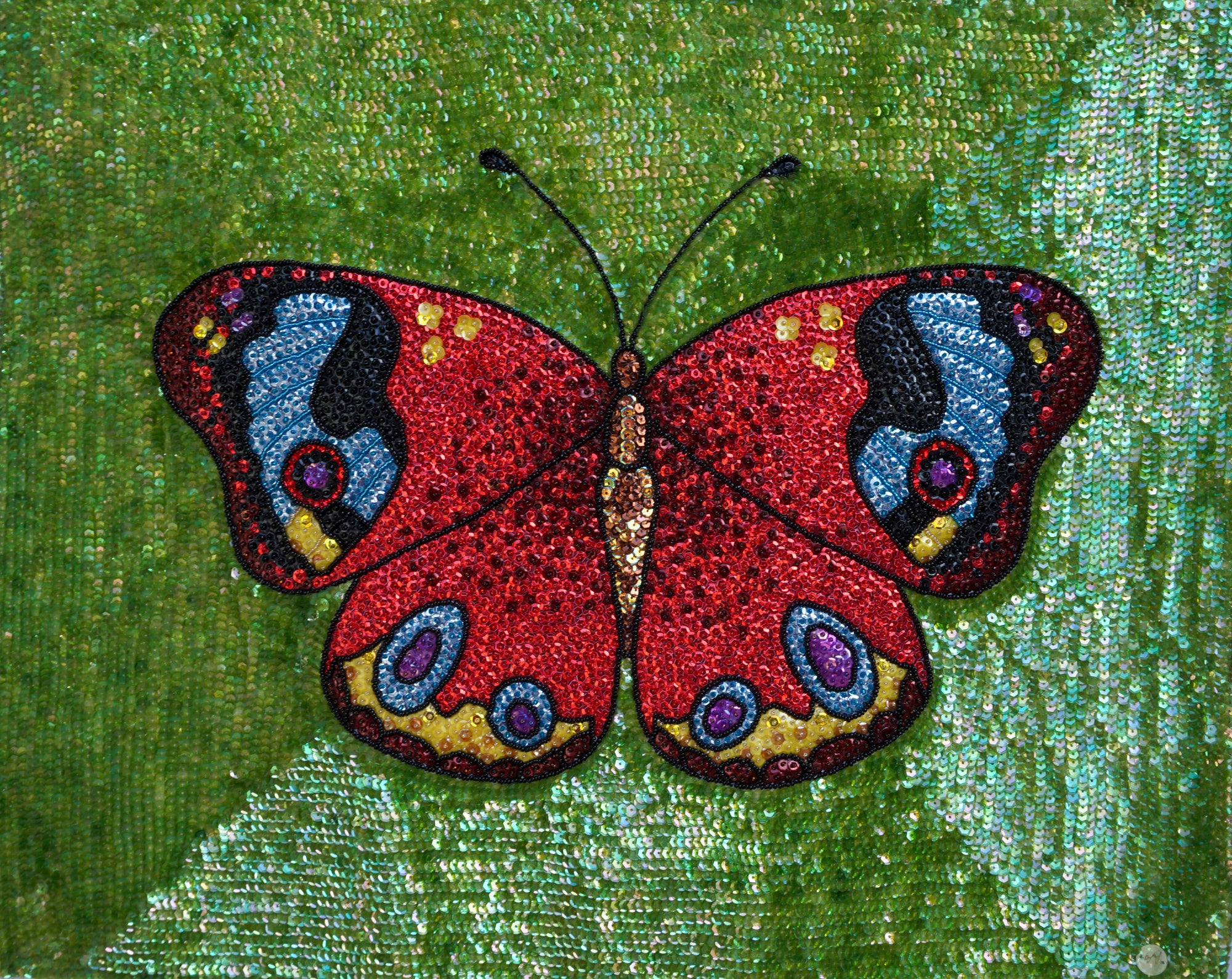 PEACOCK BUTTERFLY | Fine Artwork
