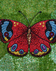 PEACOCK BUTTERFLY | Fine Artwork