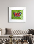 PEACOCK BUTTERFLY | Fine Artwork