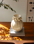 Rustic White Ceramic Urn Vase