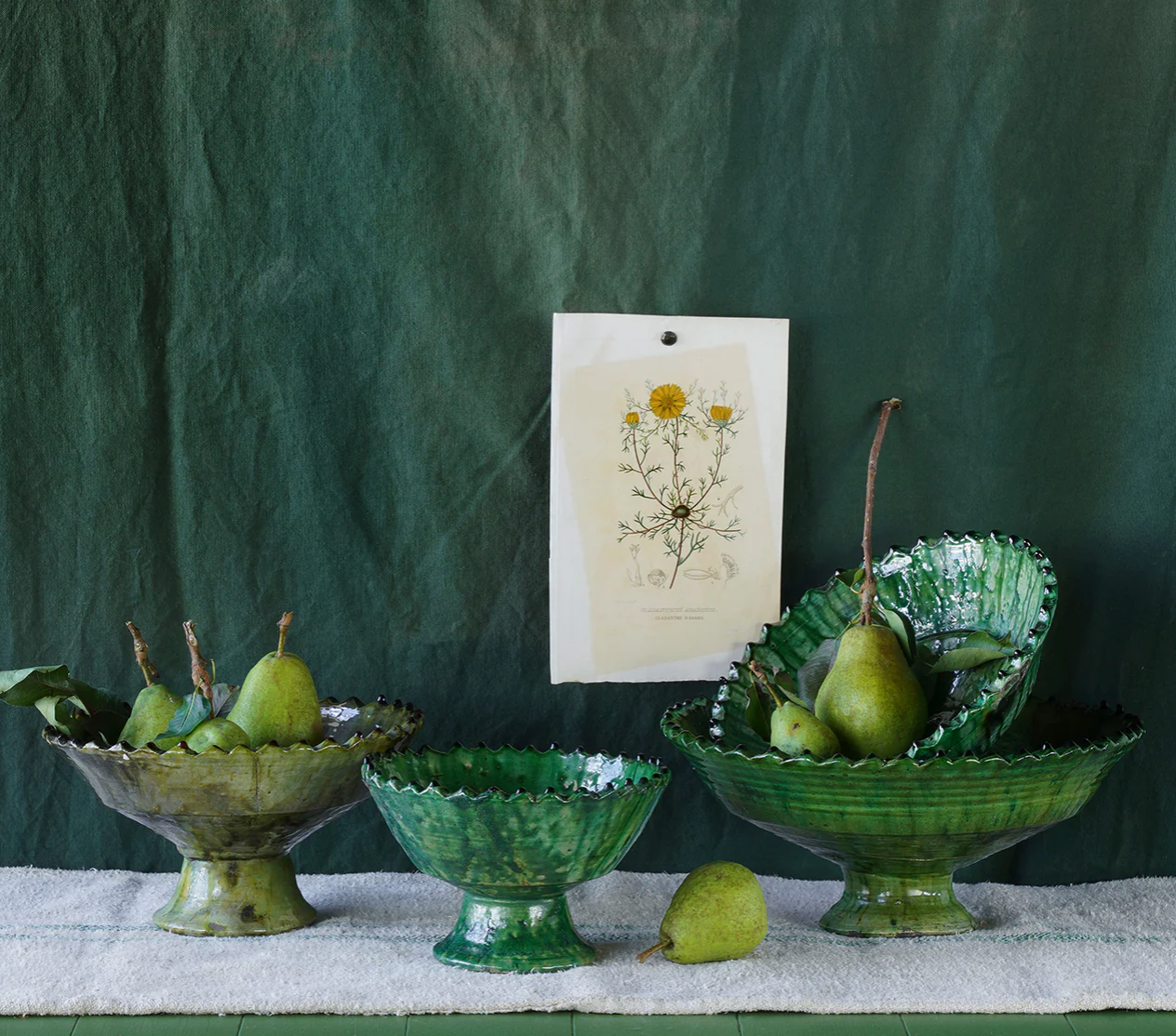 Slideshow Image 1