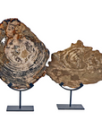 Petrified Wood on Iron Stand