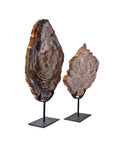 Petrified Wood on Iron Stand