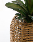 Set of 2 Woven Seagrass Barrel Planters