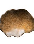 Coral Fossil Bowl
