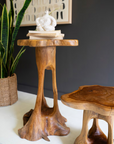 Set of 2 Organic Teakwood Accent Tables