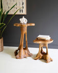 Set of 2 Organic Teakwood Accent Tables