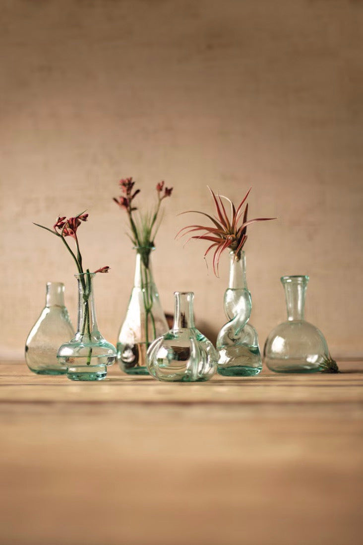 Set of 6 Bottle Bud Vases