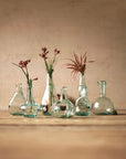 Set of 6 Bottle Bud Vases