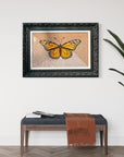 THE MONARCH BUTTERFLY | Fine Artwork