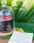 Nomad Candle - Root Chakra 8oz